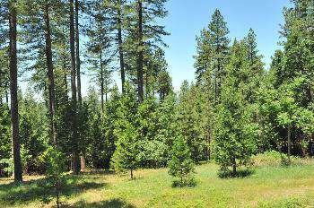 $125,000
Grass Valley, EXCELLENT LOCATION & VALUE. This 2.29 Acre