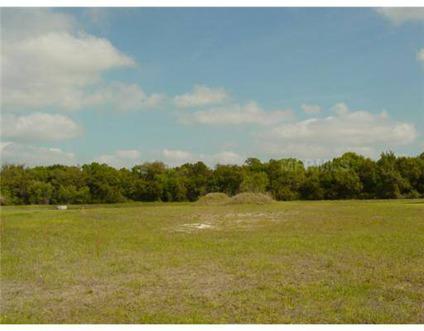 $20,000
Parrish, Great lot to build your dream home.