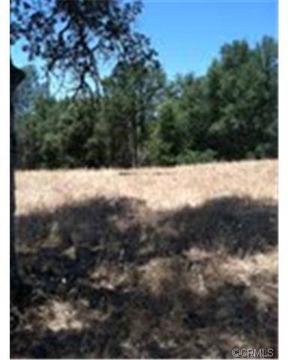 $219,000
Coarsegold Real Estate Land for Sale. $219,000 - Patty Fairbanks of
