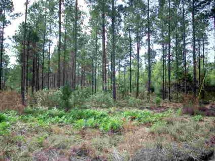 $29,500
Ludowici, Just minutes from Ft. Stewart. Many lots to choose