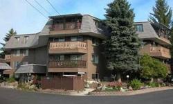 Great Mt Spokane views from this totally remodeled Condo. Large master with private bath. Laminate flooring in living room & kitchen. Lovely white, bright kitchen, stack washer & dryer. Private covered balcony & more. Secure living with elevator,
