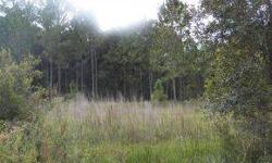 Building lot close to Webster, community of site built and moble homes, wooded and private.