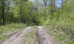 West Creek Forest. 66 acres. Pittsfield, Vermont. $110,000. This small forest offers a small pond, good access with strong recreational or homesite features along with a mature sugarbush with the potential for a small sugaring operation. For information