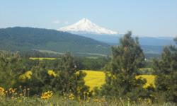 20 ac. mostly level with mature pine trees encircling potential building site; full on views of Mt. Hood and Mt. Adams. Power to property boundary, has 2005 perk test with drain field design. In a rural community of similar lot sizes. Broker cooperation