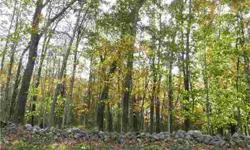 Beautiful wooded land fronted by stonewalls. Level topography with road frontage. Located near several new homes and five minutes from shopping, schools and I-84 exits 13 & 14. First time offered.
Listing originally posted at http