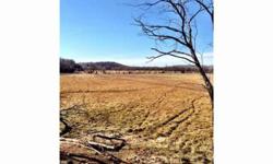 44 acres of nice land with many possibilities.,A total of 423 acres available in several options.