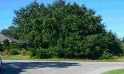 Nice lot on Non-Navigable Canal with Mature Oak Tree in Quiet Neighborhood.