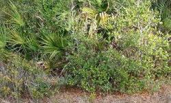 VACANT 1.15 ACRE LOT IN FLORIDA HIGHLANDS.