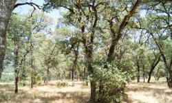 DREAM ACREAGE. This beautiful land has a gentle useable topography. Grassy open meadows dotted with mature oaks. Great local views of the rolling hillsides that could be enhanced to include long range snowcap views. WELL is in and PERC & MANTLE is done.
