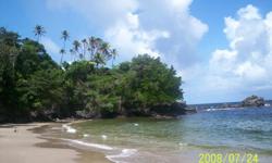 400 acres of land for sale in Toco, north east tip of Trinidad. Being sold per 1 acre lots or as a whole estate. Buy 8 acres for $1 million saving $700,000 off the price. Lots going fast so BUY NOW!!!!!