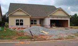 Imagine
when this home is complete. It is a 4
bedroom 2 bath home with 2,015 square feet and an attached double Garage. The
Kitchen will have Granite counter tops, electric cook top, built in microwave
and a dishwasher. You will have access
to the
