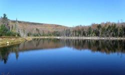 Visit www.landflip.com for more details. Johnson Pond Forest. 1,160 acres. Kirby, VT. $1,065,000. With sweeping views of the Presidential Range, three ponds and an internal road network, this property is a classic estate forest. For information contact