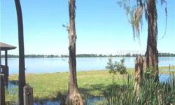 Panoramic view of Lake Sheen frontage property with 2 story old house and boat dock. Build your dream home and enjoy the Disney fireworks and sunset. Boat dock approx 10yrs old, large land to build your private tennis court and basektball court