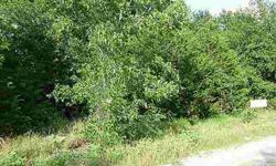 Don't Miss this Deal! Nice wooded lot with gravel road frontage at Peyton Place Subdivision near Navarro Mills Lake Area. Need a place to start a homesite or just a week-end-retreat homesite close to the lake. Motivated Seller!