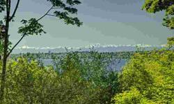 Rare opportunity awaits! View lot in Houghton approx 18,838 Sqft. Enjoy views overlooking Yarrow Bay, Lake Washington & Seattle Skyline. Ideal close-in location near Carillon Point, Marina, downtown Kirkland & Bellevue. Separate and adjoining view lot