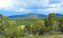 Amazing spot in exclusive shenandoah estates. This lot is only 6mis west of durango, yet its expansive views make you feel as though you're very far away from everything but nature.