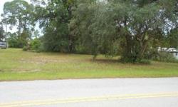 Vacant land measures approx. 100 x 550 or 1.25 acres. The front 100 is on paved road right off of SR 44 East of EUSTIS in Pine Lakes. There is electric service and a working well on property, and septic service. Also, a single wide trailer, but it is of