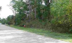 LOOK NO MORE! This nice sized lot can give you the country feel of living but still allows you to also enjoy the amenities of the city with near by shopping and dining.Located minutes from The Woodlands Mall. This is a great location to enjoy and call