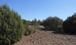 40 acres Juniperwood Ranch, Ash Fork Arizona 863201,732,468 Square FeetOne Million Seven Hundred Thirty Two Thousand Four Hundred Sixty Eight Square FeetTitle insuredLand is surveyedTaxes are currentEasy accessLevel, nicely treedGorgeous property with 360