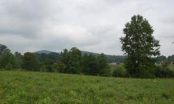Yadkin Valley Farm. Fenced pasture, pond and creek. Homesite perked for 4 bedroom. Driveway built to site and well drilled with 50 gpm
Listing originally posted at http