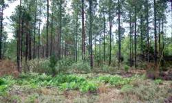 Just minutes from Ft. Stewart. Many lots to choose from, starting at 5 acres and up. Private country living. Owner will also consider owner financing. Call for more information.Listing originally posted at http