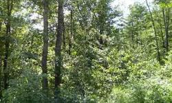 BEAUTIFUL WOODED LOT IN A NICE COUNTRY AREA, ONLY MINUTES TO IN TOWN AUBURN, ACCESS TO LAPHAM BROOK FOR GREAT FISHING, PEACEFUL SETTING, NEAR LOST VALLEY, FOR MORE INFORMATION CALL FONTAINE FAMILY THE REAL ESTATE LEADER 207-784-3800 Listing agent and