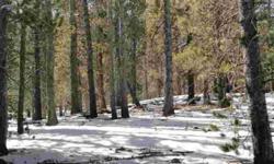 THIS IS A REAL FIND! Over 3 acres of wooded land in a quiet setting. Low down in Valley of the Sun so easy access to Highway 9 and LESS SNOW! Nice homes in the area. Perfect spot and great price to build your mountain home! Priced to sell.
Listing