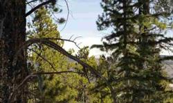THIS IS A REAL FIND! Over 3 acres of wooded land in a quiet setting. Low down in Valley of the Sun. Only 2 miles to Highway 9. Some great building sites with potenital for views. Very sunny. Perfect spot and great price to build your mountain home! Priced