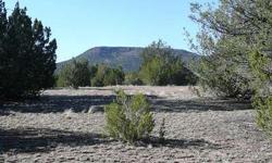 This lot fronts Anvil Rock Road which is paved at the easement. It is less than 1 mile South from I-40, exit 109. The lot is nearly level with soft soil and Juniper trees. This lot may be the perfect place for your horses and your dream home.
Listing