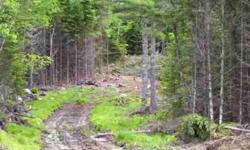 Almost 5 acres of Maine wilderness just off route 1 near Alamoosook lake. The driveway has begun to be cleared and is ready for your dream home. This great location with low town taxes will not last long at this price.