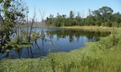 South Hopkins County (Sulphur Springs / Lake Fork) farm, approximately half wooded, half pasture. Multiple lakes including a new 35 acre lake attracting large numbers of ducks. High fence potential with largen numbers of deer. Mulltiple homes on property.