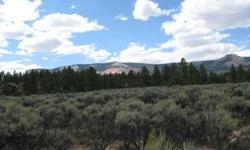 Beautiful 125 Acre parcel of land with terrific views of upper valley & pink point.