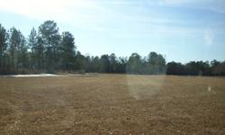 7.5 Acres of land for sale in Pamplico, SC. For sale by owner. 5 acres cleared, 2.5 wooded. Off of a dirt road in the country. Surrounded by woods and field. Does not have septic tank or well, but has been perk tested and passed in 2 spots on the land (so