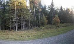 Beautiful lots in quiet subdivision just a short walk to the marina. Timber Run subdivision retains 18+ acres of open space to maintain privacy and beauty. Access to recreational trails, short ride to Greenville, Jackman & Pittston Farm.Listing originally