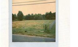 Slightly more than an acre of undeveloped land ready for your home. Facing north, this acre has not been cleared recently, however, photo on the MLS of the "cleared" land is from 1985 and will give you the 'lay of the land.' Located in SW Lakeland, mostly
