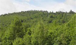 Kirby Mountain Forest. 532 acres. Kirby, VT. $340,000. A developing and well-stocked northern hardwood forest, dominated by yellow birch, sugar maple and other associated species which combine to create a sound long-term forest investment. For information