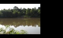 This lovely lot of .54 acres is located high above the Red River in Avoyelles Parish near the Fifth Ward community. The lot is very high in elevation and has a commanding view of the river.