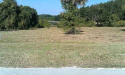 Nice one acre lot on EEldorado LakeDR. Peaceful, tranquil & quiet country living. Easy access to SR44. Approx 4 miles from US441 & less than 30 minutes to Seminole Town Center.Less than an hour from Disney & Florida's beaches. Great views & no deed