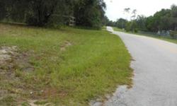 1.25 Acres for Sale. East of Eustis right off of Hwy 44, Pine Hills. 100 X 550. 100 is paved road frontage. Electricity, water and septic are in place. An older single wide mobile home is on property but is of no value and is sold "AS IS". This mobile