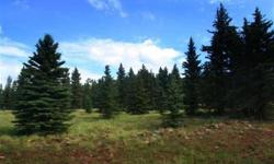 Terrific Price. YES...only $39,000. Act now to get a great lot at a great price. Flat lot in the premier subdivision in the resort community of Angel Fire, NM.