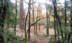 10 acres surrounded by and direct access to over 630 acres of washington state forestry land plus other timber co land, excellent hunting (deer,turkey,elk,ect),private area. Listing originally posted at http