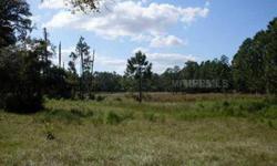 Over 5 acres away from it all! Approx. twenty min. from Eustis this property is what your looking for. Paved road frontage and ready to build single family or manufactured home.