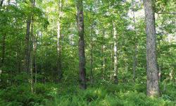 Garrison Hill Forest. 267 acres. Huntington, VT. $450,000. A well-stocked northern hardwood forest located in the Chittenden County town of Huntington, this quality forest benefits from sound forest management and offers sugaring potential. For