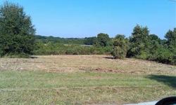 Nice 1.34 lot on E Lake Eldorado DR. Peaceful, tranquil & quiet country living. Easy access to SR44. Approx 4 miles from US441 & less than 30 minutes to Seminole Town Center.Less than an hour from Disney & Florida's beaches. Great views & no deed