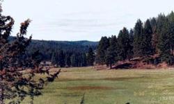 Hard to find property, this one has it all! Pine trees, Marks Creek through the property, hillside building site with great view, & irrigated pasture all situated in the beautiful Ochoco Mountains east of Prineville. There is a 1978 manufactured home with