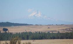 Priced to move! Nice 10 acre piece with many trees, both Oak and Pine. Great view of Mt. Hood. 10 Miles from town and paved road all the way. Standard perk for PD system. Take a look at this one!!Listing originally posted at http