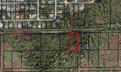*** owner says bring him an offer *** 1+ acre wooded investment lot, located just outside of an established neighborhood.