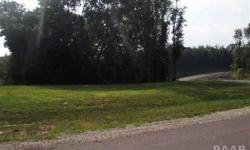 OVER four ACRE LOT LOCATED IN NEWER SUBDIVISION. CLOSE TO LAKE CAMELOT AND ILLINI BLUFFS SCHOOL DISTRICT