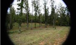 Cleared lot ready to build! Fabulous lot sits in back of subdivision on cul de sac. Shades Creek subdivision is on the banks of Hurricane Creek. Perfect for your dream home!
Listing originally posted at http