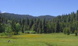 In the heart of Idaho, only minutes from the Boise National Forest, are the approx. 285 acres of Warm Lake. The setting for this recreational land is picturesque